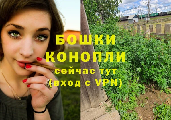 метадон Гусев