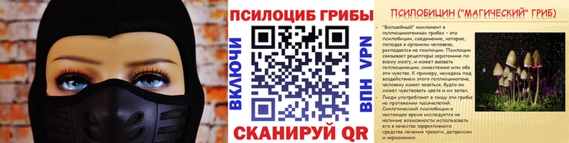 сайты даркнета формула  Павловск  Галлюциногенные грибы прущие грибы 